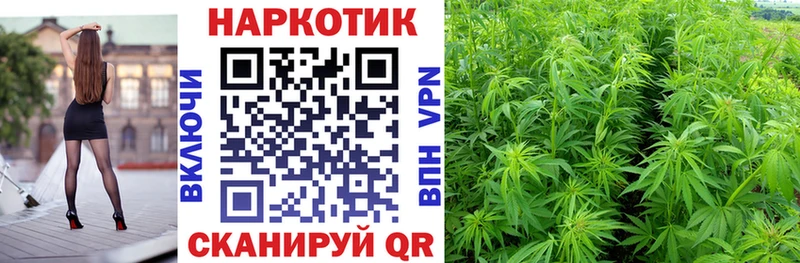 Цена Дрезна Псилоцибиновые грибы COCAIN