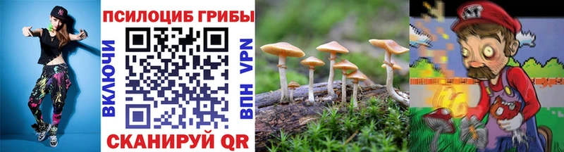 Псилоцибиновые грибы мицелий Дрезна